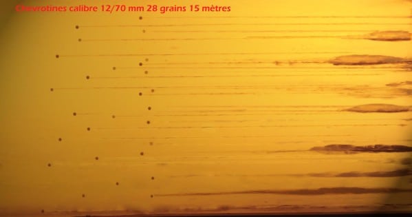 CHEVROTINES-28grains-15-metres.jpg