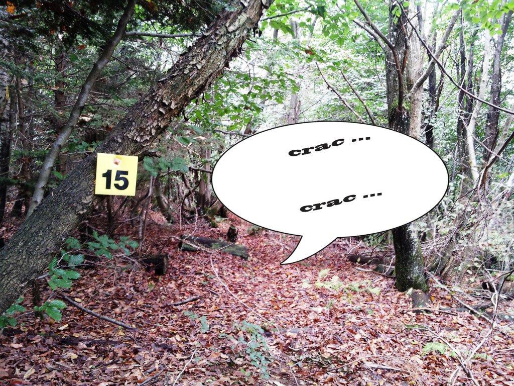 Faut-il identifier avant de tirer ou identifier avant de prendre la visée ? Tir fichant ou zone fichante ?