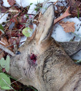 Nouvelle définition du "STOPING POWER" : ©"ZI²HL" : “Zone Incapacitante instantanée Haute Létalité”. Nouvelle définition du "STOPING POWER" : ©"ZI²HL" : “Zone Incapacitante instantanée Haute Létalité”.