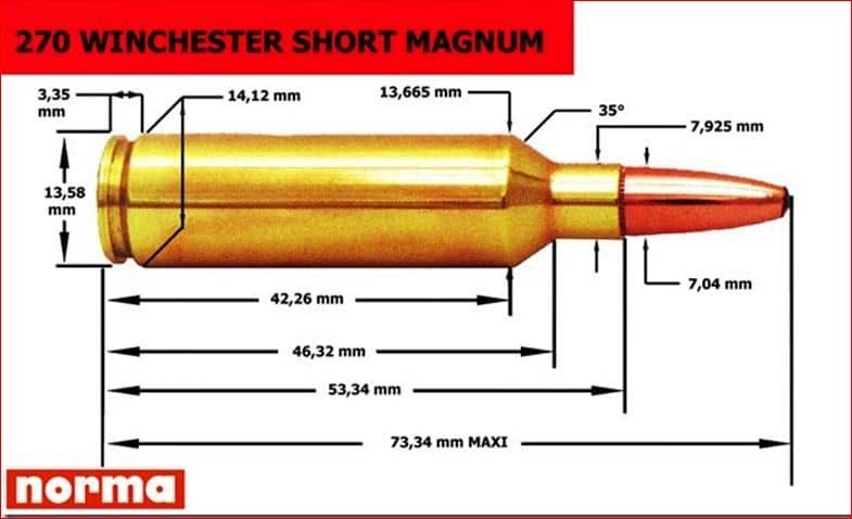 270 short magnum