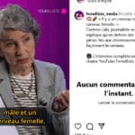 2024. Géostratégie.eu : Sélection d'articles : Politiques, techniques, économiques, culturels.. Il y a un cerveau mâle et un cerveau femelle_edited