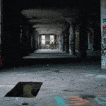 2025. Nouvel AIMPOINT DUTY RDS™ MR. (Multiple Réticules). aimpoint RDS multiple reticle